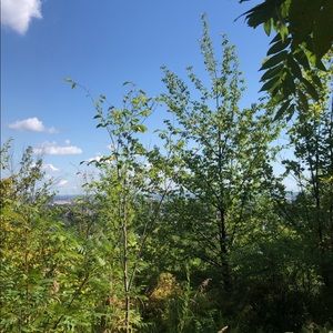 Meet your Posher, Melina